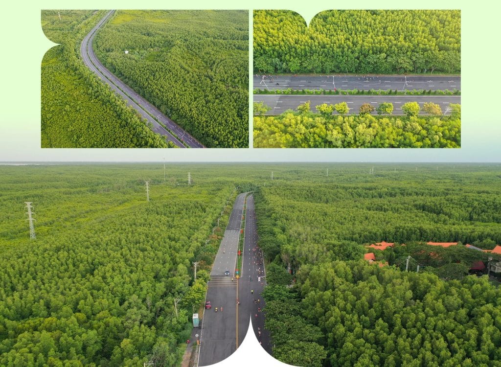 Vinhomes Cần Giờ được bao bọc bởi rừng ngập mặn